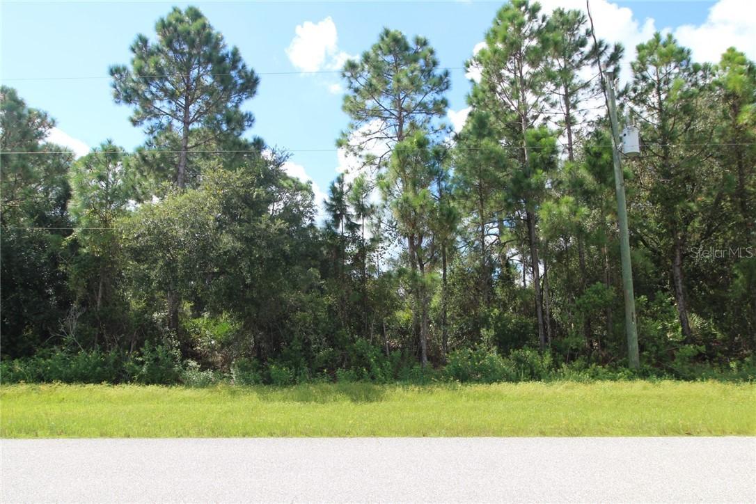 Hornbuckle Blvd., North Port, FL 34291