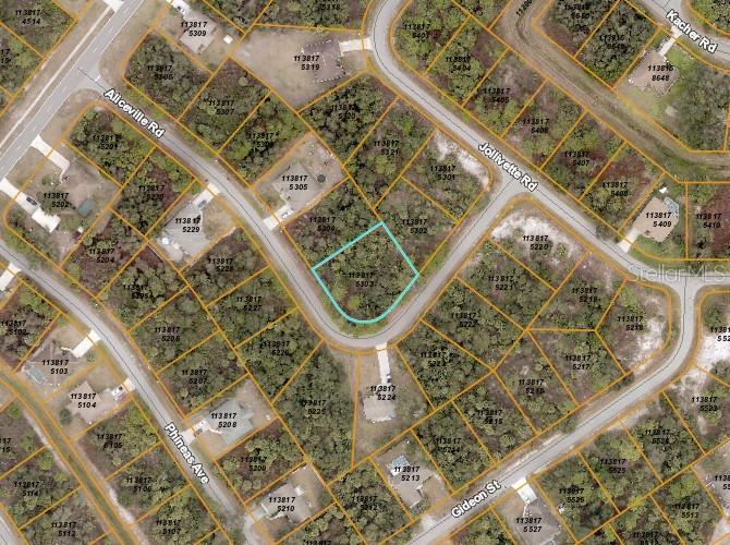 Aliceville Rd., North Port, FL 34288