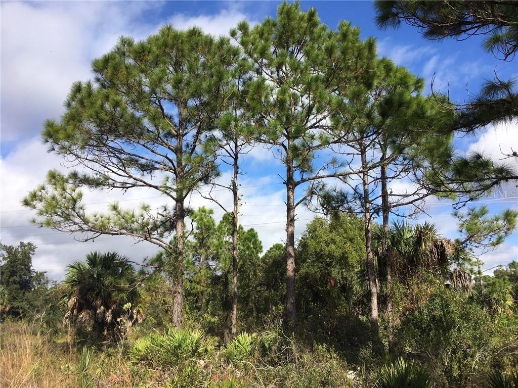 26407 Glaspell Rd., Punta Gorda, FL 33955