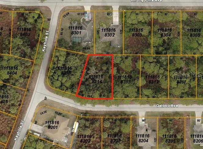 Geloso Ave., North Port, FL 34288