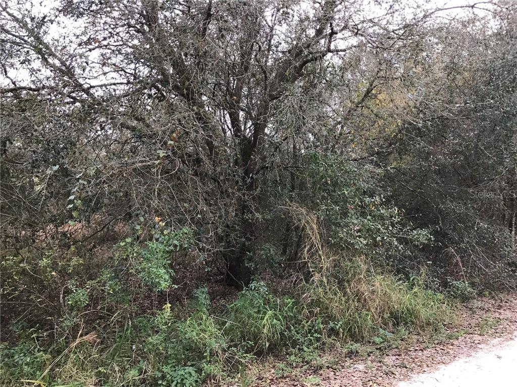 2807 SE Timber Dr., Arcadia, FL 34266