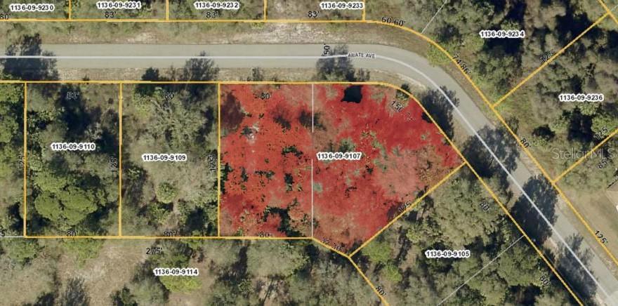 Abate Ave., North Port, FL 34288