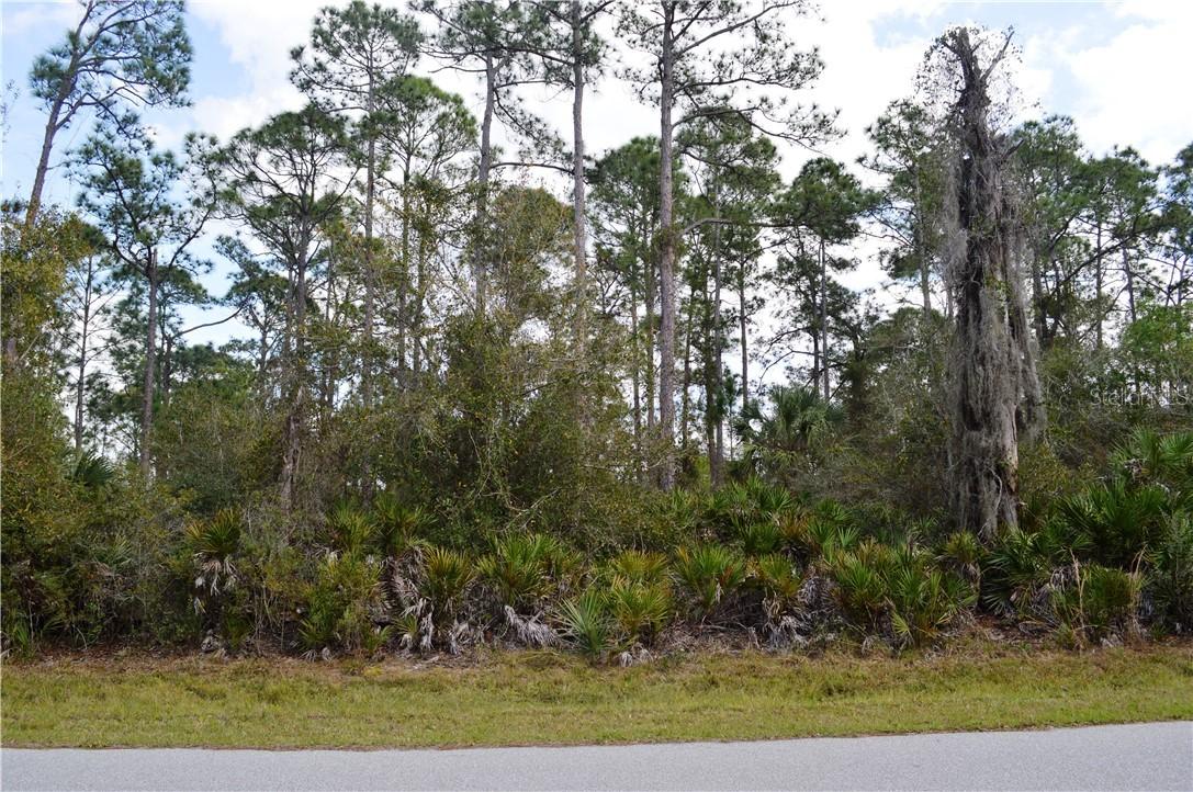 3388 Douglas Rd., Port Charlotte, FL 33980