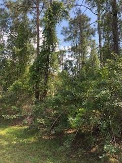 28223 Jacinto Dr., Punta Gorda, FL 33955