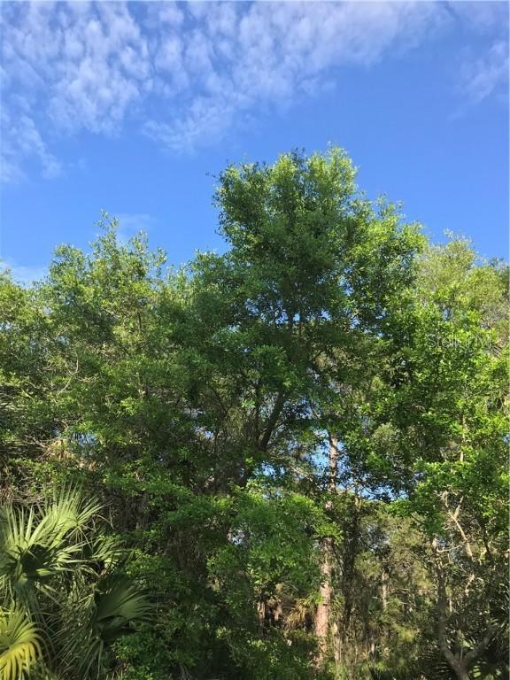 14301 Mcfarland Ave., Port Charlotte, FL 33981