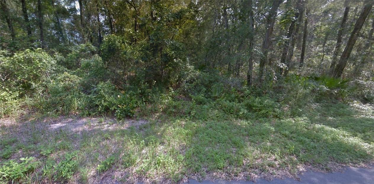 Lot 10 Spruce Ter., Ocala, FL 34472