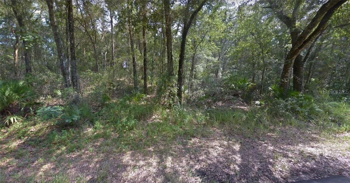 Lot 9 Spruce Ter., Ocala, FL 34472