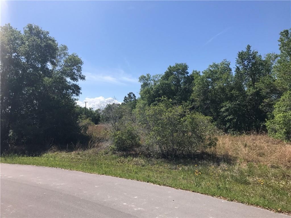 293 Astor Cir., Punta Gorda, FL 33982