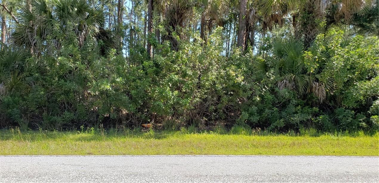 12542 Chamberlain Blvd., Port Charlotte, FL 33953