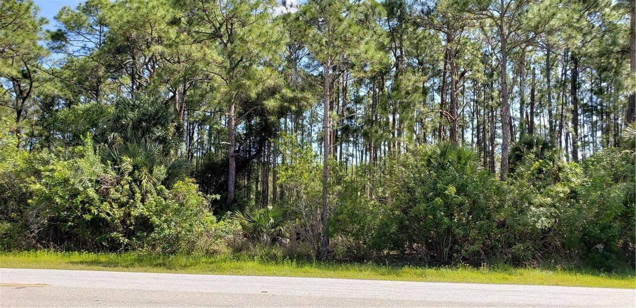 12550 Chamberlain Blvd., Port Charlotte, FL 33953