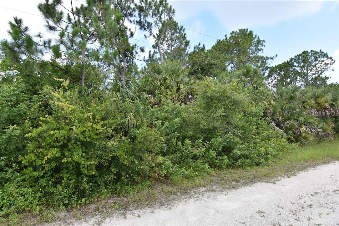 13231 Carousel Dr., Punta Gorda, FL 33955