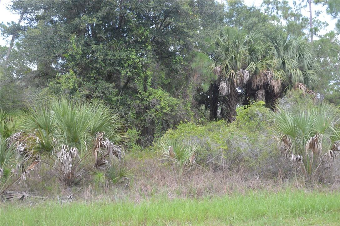 Wagon Wheel Dr., North Port, FL 34291