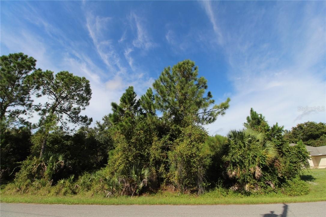 Aliceville Rd., North Port, FL 34288