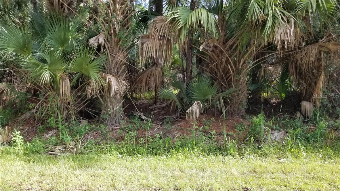 Bartigon Ave., North Port, FL 34286