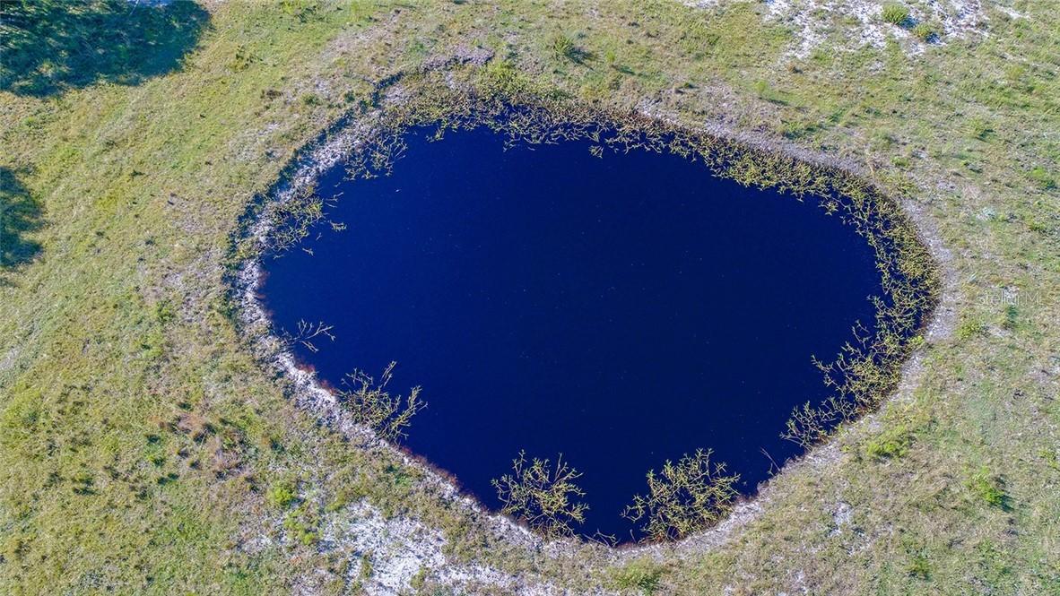 9884 SW Southern Dreams Rd., Arcadia, FL 34269