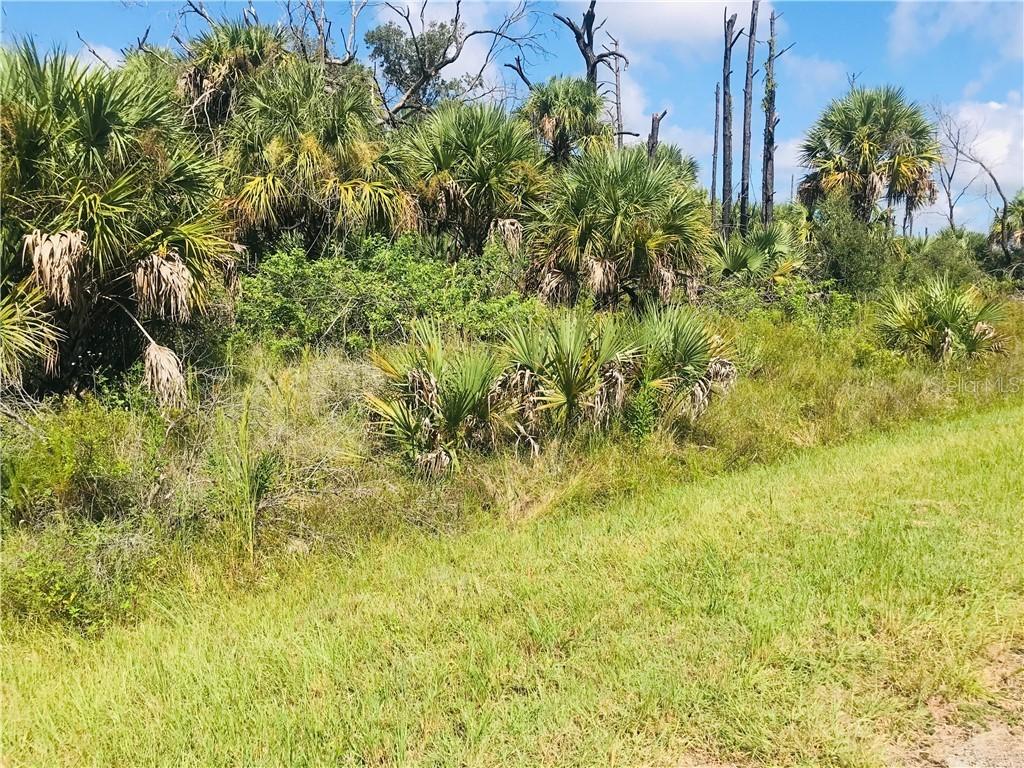 Bigflower Ave., North Port, FL 34288