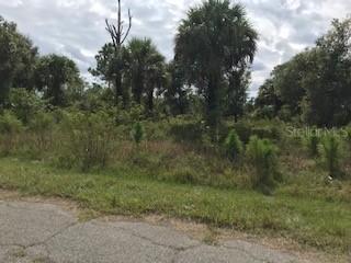 Joewood Cir., North Port, FL 34288