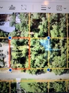 Las Almanos Ave., North Port, FL 34288