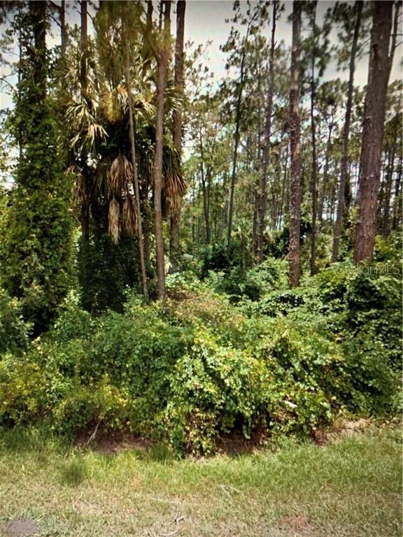 26 Ripcord Ln., Palm Coast, FL 32164