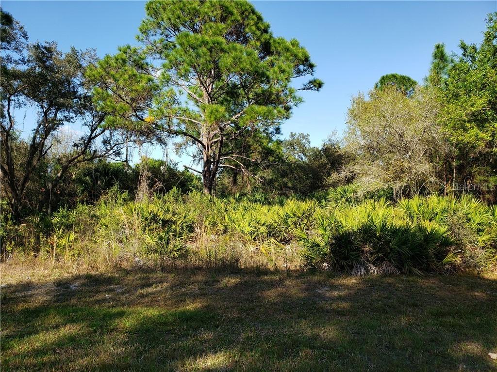 22500 Hallstead Ave, Port Charlotte, FL 33952