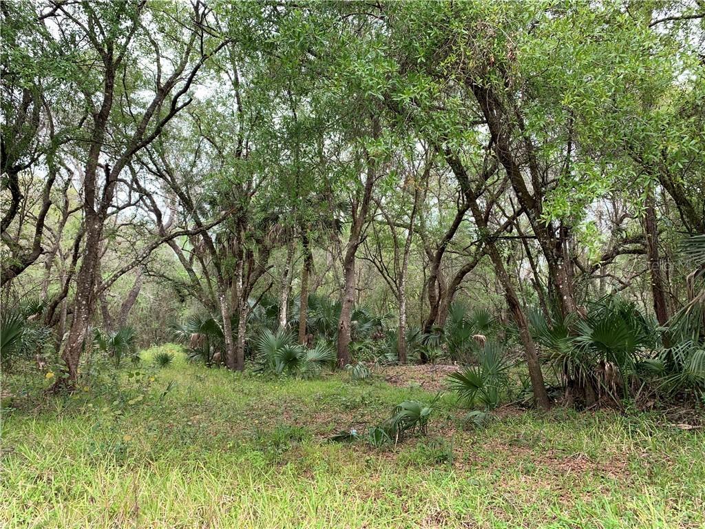 1326 NE River Mill Dr., Arcadia, FL 34266