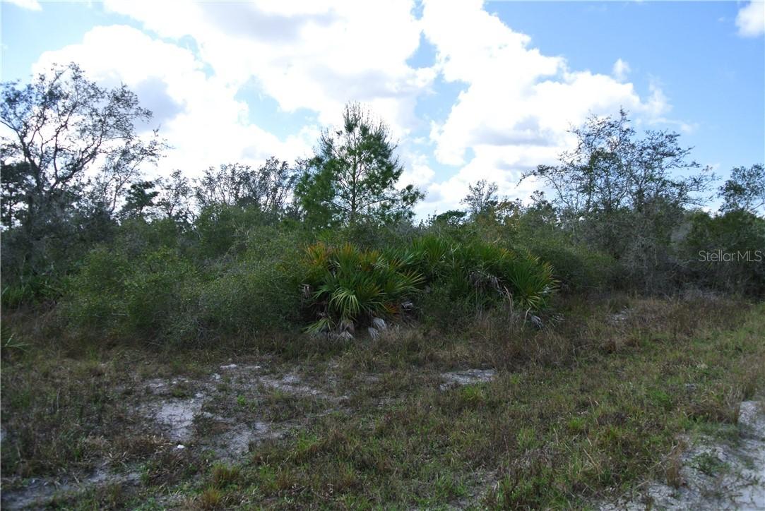 32101 Creek Trail, Punta Gorda, FL 33982