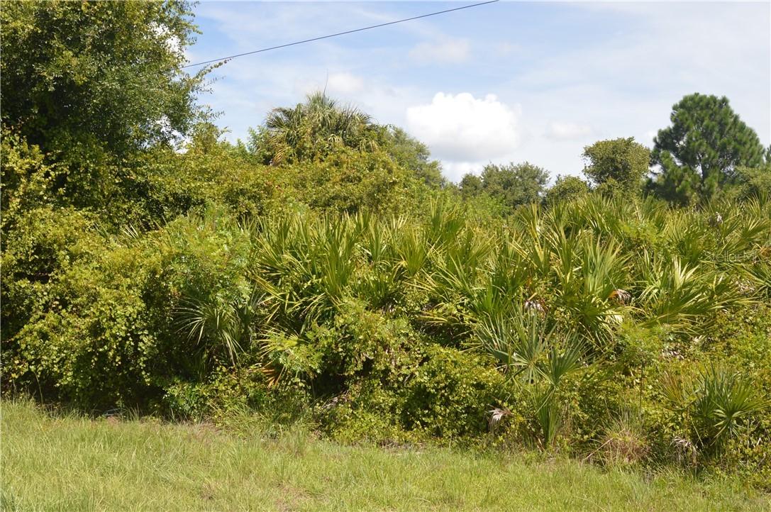 Ent Ter., North Port, FL 34291