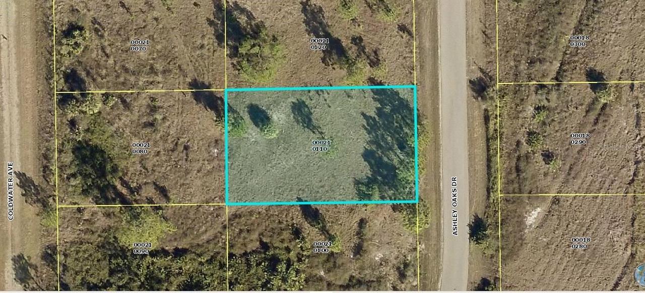 929 Ashley Oaks Dr., Lehigh Acres, FL 33974
