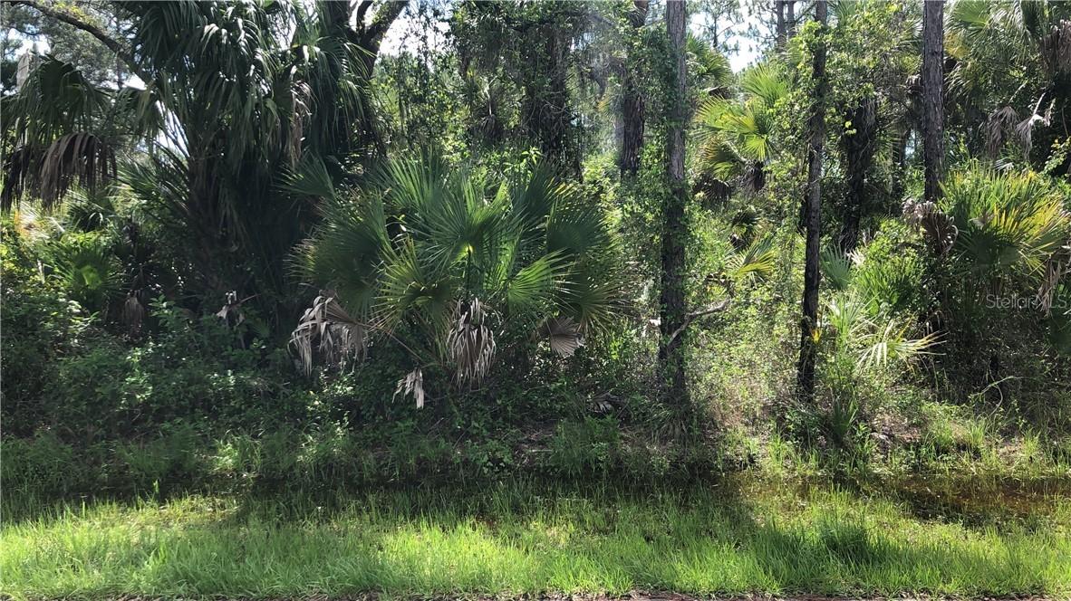 Shrimp Ln., North Port, FL 34286