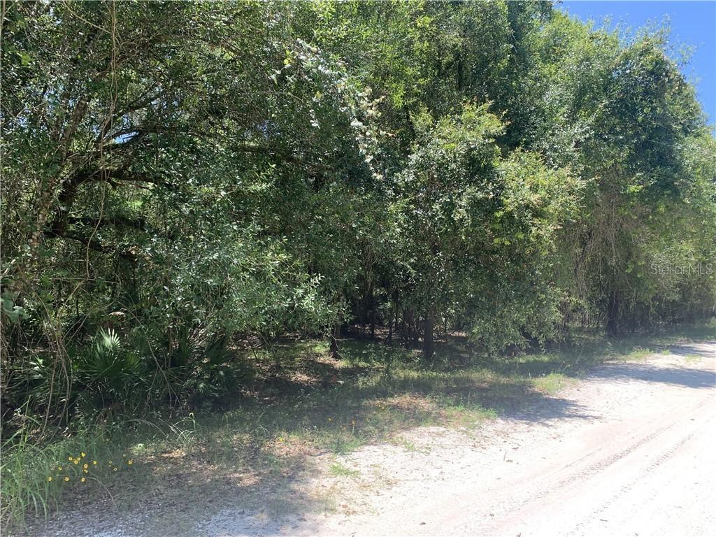NE River Wood Rd., Arcadia, FL 34266