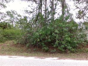 Longworthy Rd., North Port, FL 34288