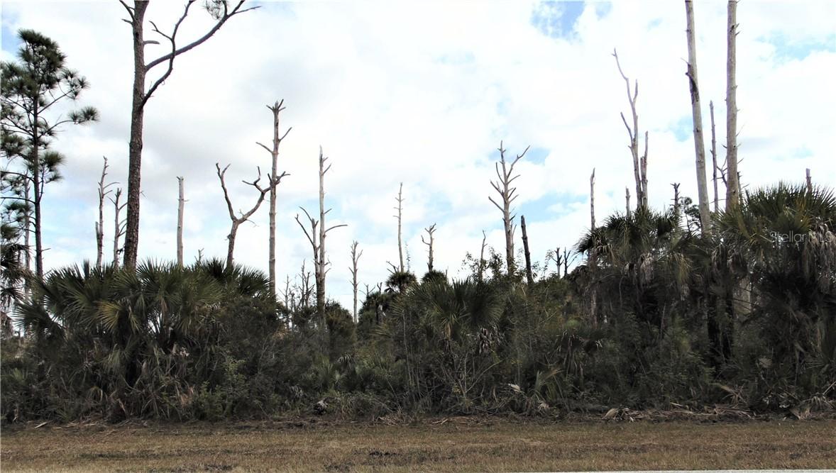 3244 Gillot Blvd., Port Charlotte, FL 33981