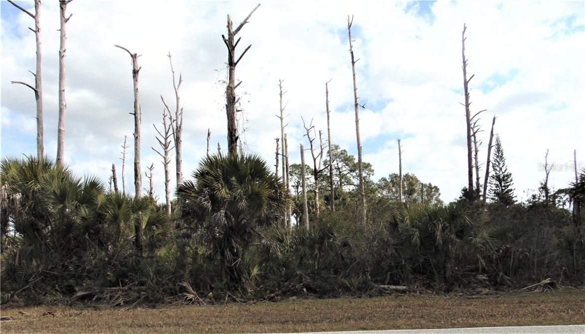 3252 Gillot Blvd., Port Charlotte, FL 33981