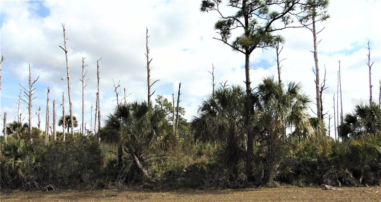 3260 Gillot Blvd., Port Charlotte, FL 33981