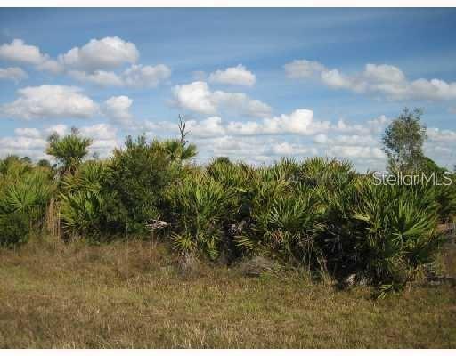 262 Morales St., Port Charlotte, FL 33953