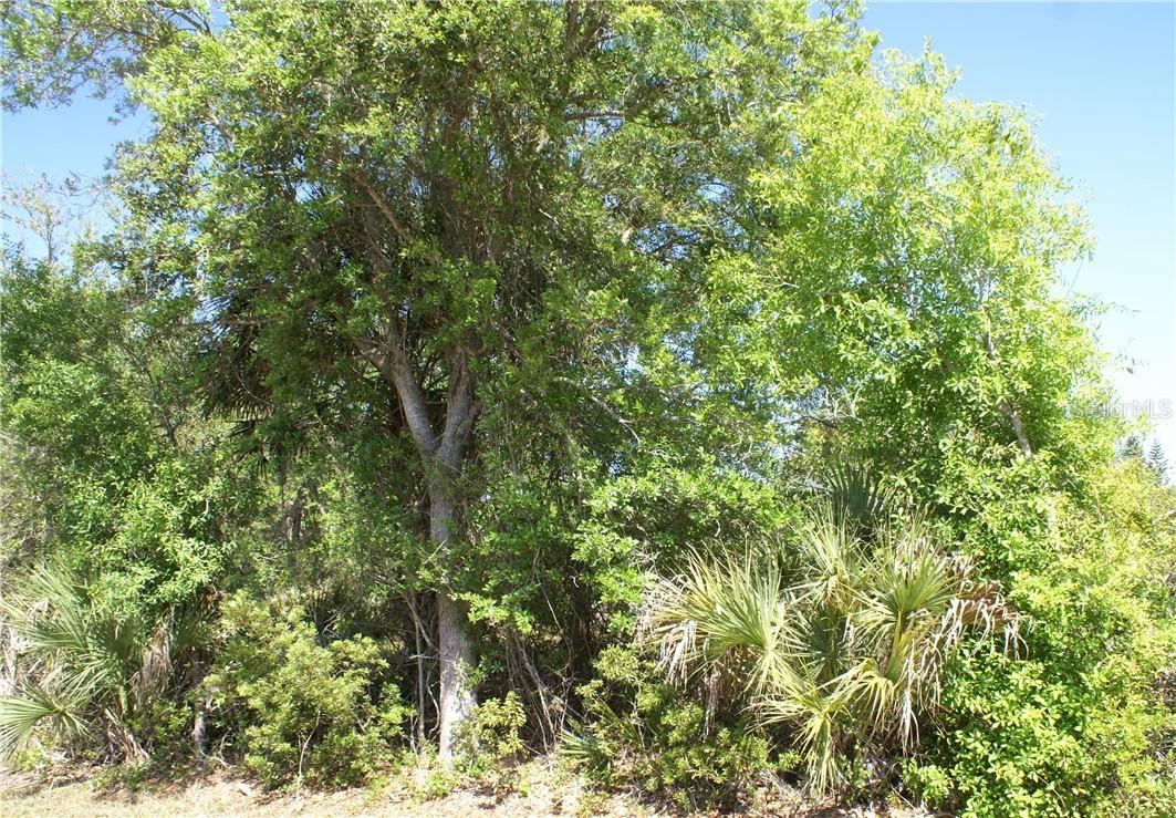 7082 Turner St., Englewood, FL 34224