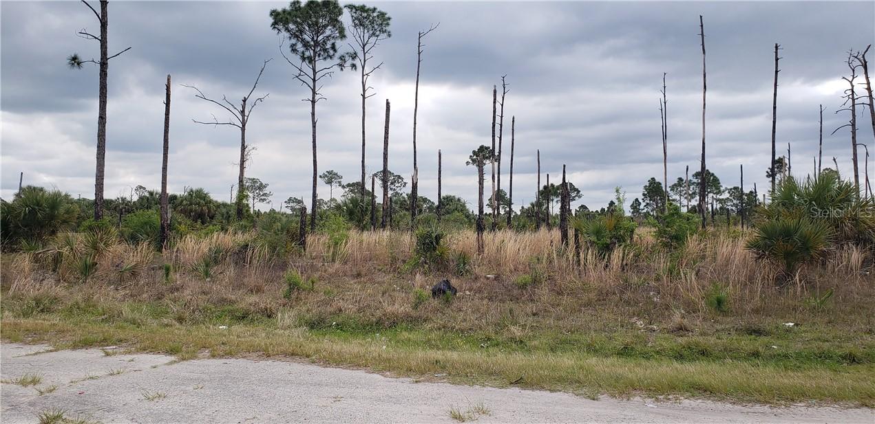 Lace Ct., North Port, FL 34288