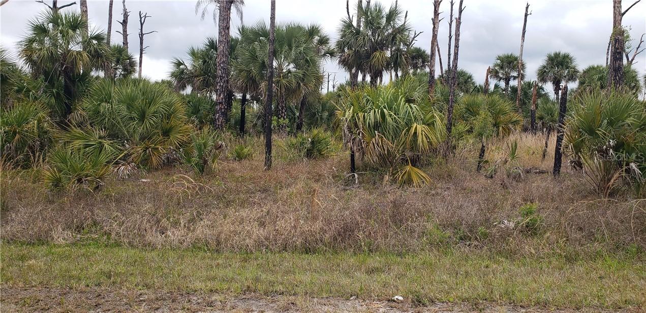 Stuckert St., North Port, FL 34288