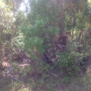 18041 Regan Ave., Port Charlotte, FL 33948