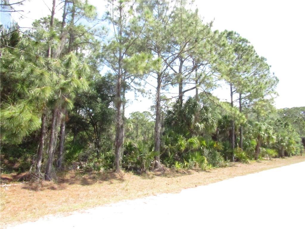 14424 & 14432 Fuchsia Ave., Port Charlotte, FL 33953