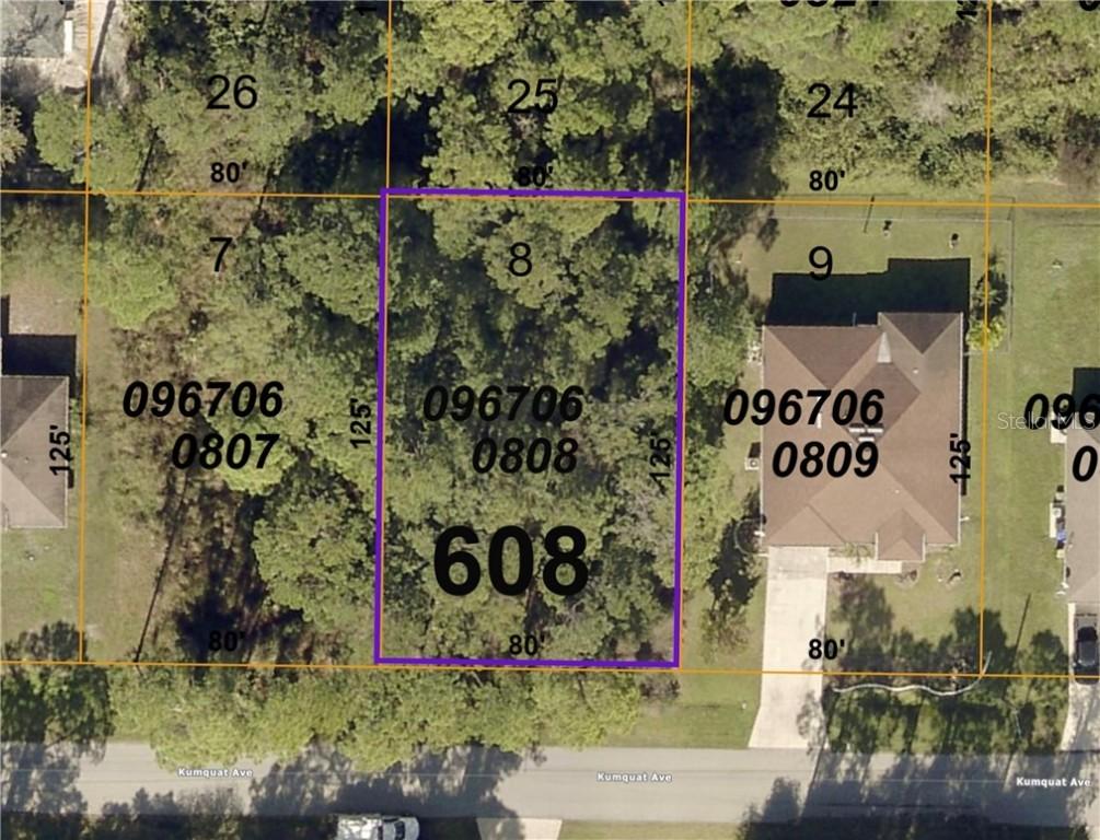 Kumquat Ave., North Port, FL 34291