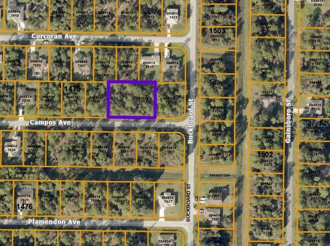 Campos Ave., North Port, FL 34291