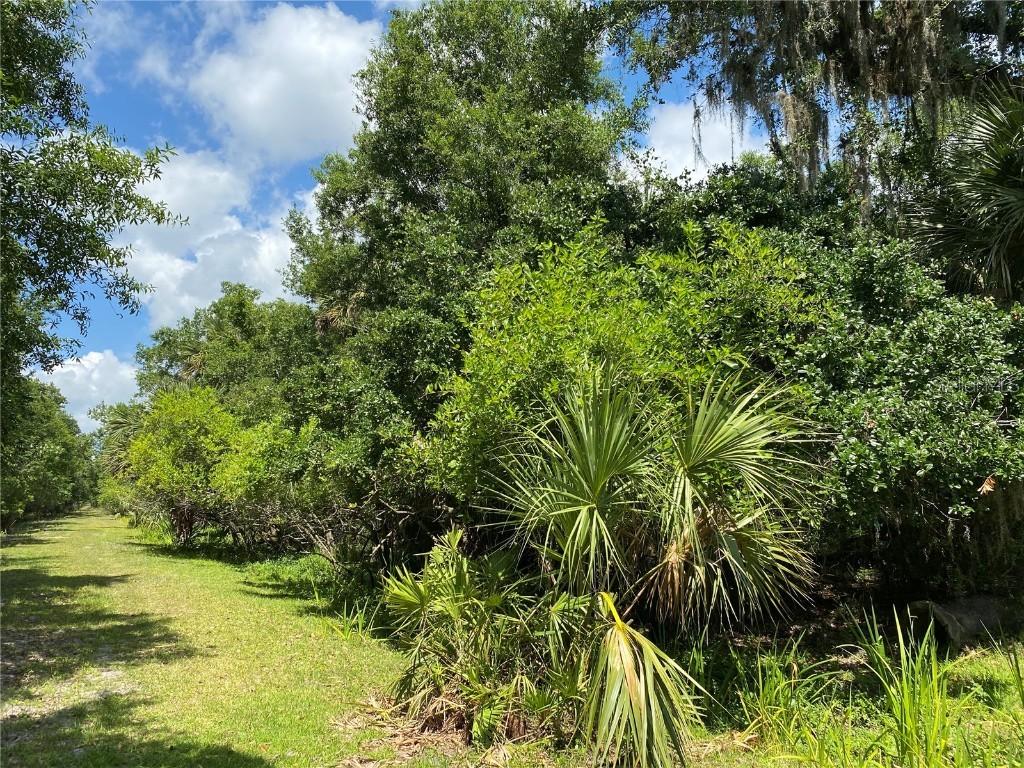 SW Adventure Way, Arcadia, FL 34266