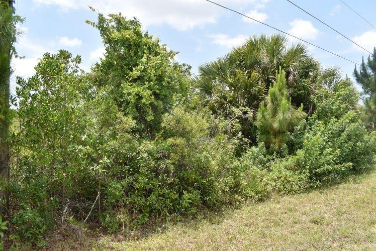 15344 Aldama Cir., Port Charlotte, FL 33981