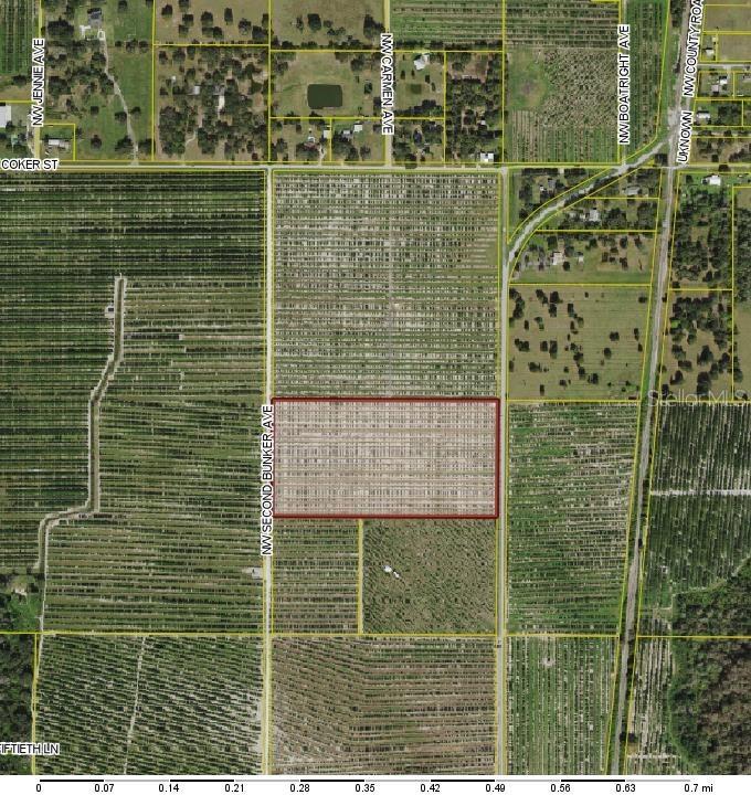 NW County 661 Rd., Arcadia, FL 34266