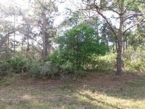 Alpaca St., North Port, FL 34291