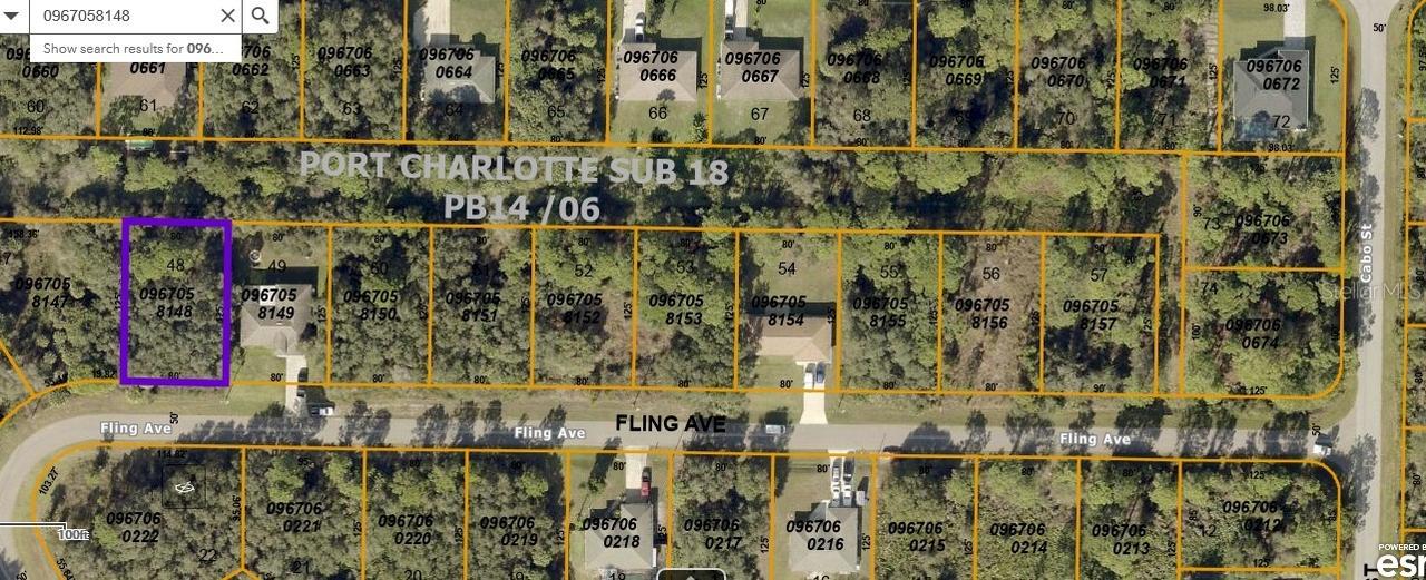 Fling Ave., North Port, FL 34291