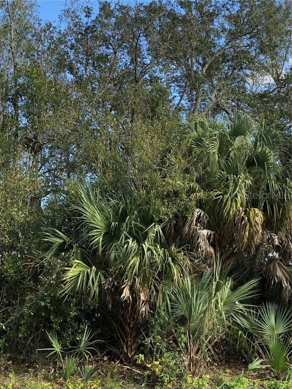 22523 Joanne Ave., Port Charlotte, FL 33954