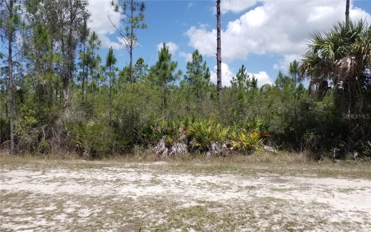 12123 Narango Dr., Punta Gorda, FL 33955