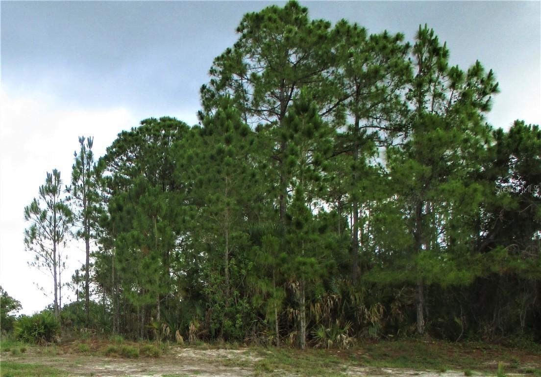 Lot 4 Sheno Dr., North Port, FL 34288